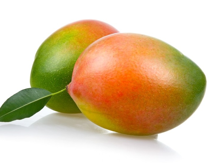 Mangovník - KEITT